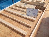 ＮＩＫＡＢＥ01 (800x600).jpg